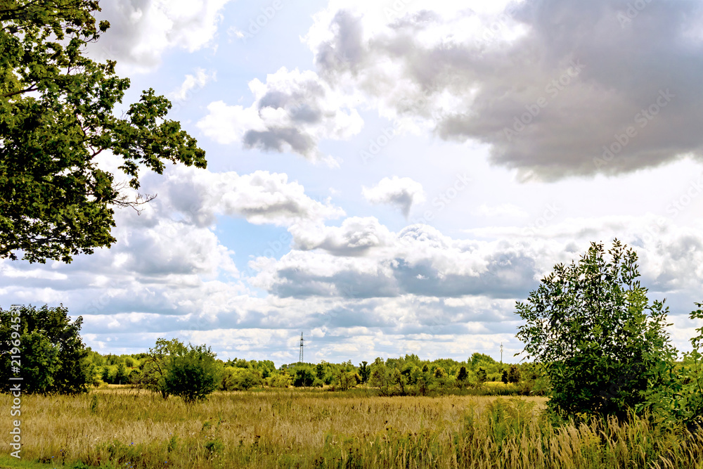View over meadows and fields to a forest edge under a blue sky with dramatic looking clouds View over meadows and fields to a forest edge under a blue sky with dramatic looking clouds