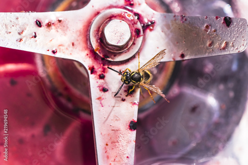 Wasp sitting on the blade of a blender and eating the leftovers of a smoothie.