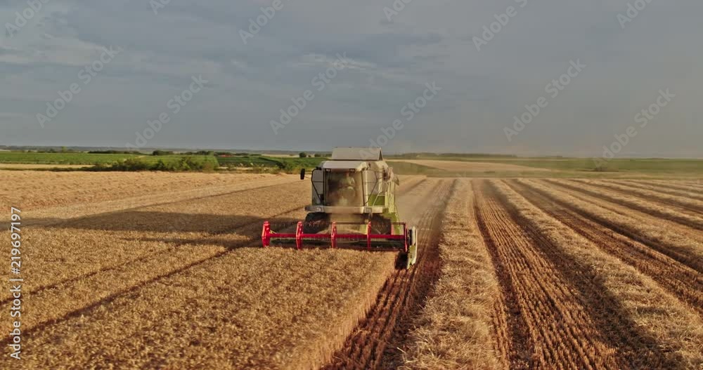 Aerial shot of a combine harvester in action on wheat field. Aerial shot of a combine harvester in action on wheat field.