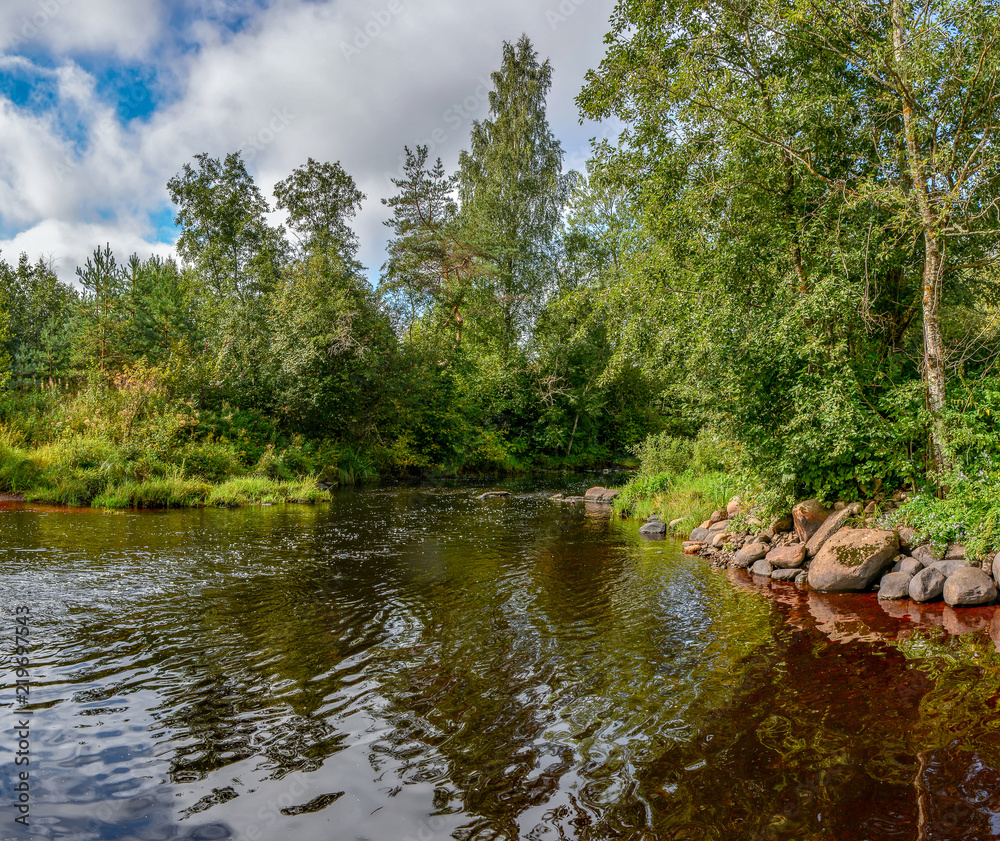 Summer morning on the banks of the river mga in the Leningrad region. Summer morning on the banks of the river mga in the Leningrad region.