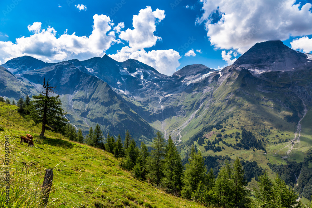 Alpine valley on a beautiful summer day