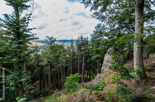 Las na zboczu góry, Szczytna photo