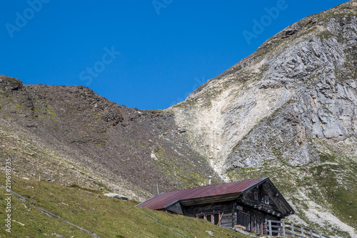 Alpine blooming meadows and pastures