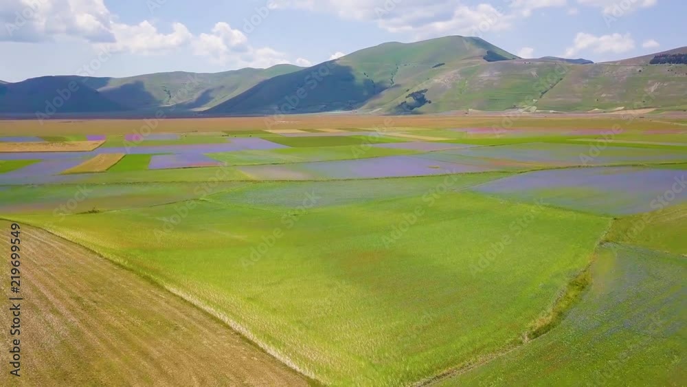 4k aerial view of the famous flowering in Castelluccio di Norcia, Italy 4k aerial view of the famous flowering in Castelluccio di Norcia, Italy