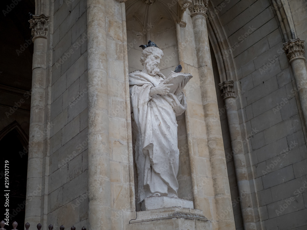 Fototapeta premium Le lecteur et le pigeon