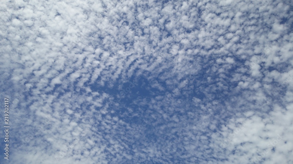 初秋の青空に広がる細かく千切れた雲(うろこ雲/いわし雲/さば雲)のある風景