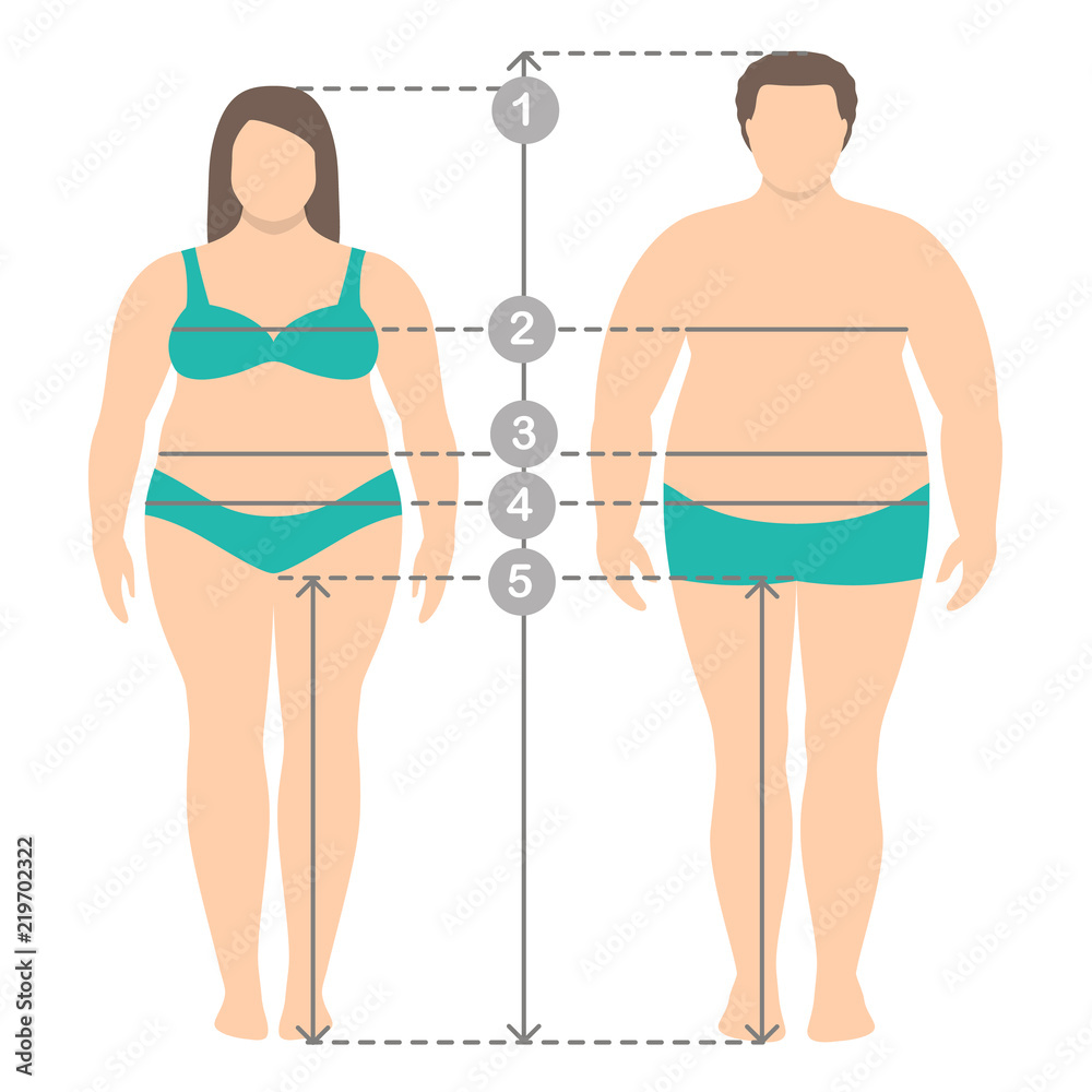 Illustration of overweight man and women in full length with measurement lines of body parameters . Man and women clothes plus size measurements. Human body measurements and proportions. Illustration of overweight man and women in full length with measurement lines of body parameters . Man and women clothes plus size measurements. Human body measurements and proportions.