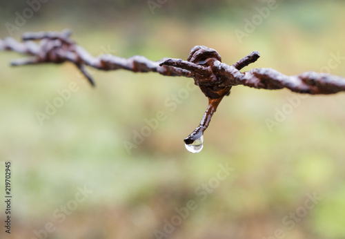 water on barbed wire
