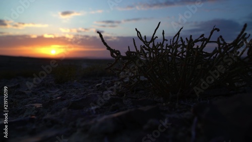 sunset in the desert © Jonny