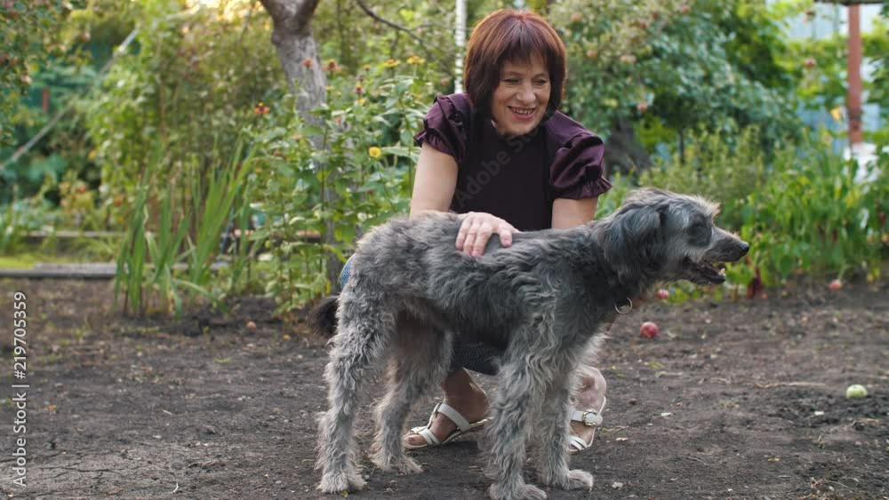 Dog with happy owner Dog with happy owner