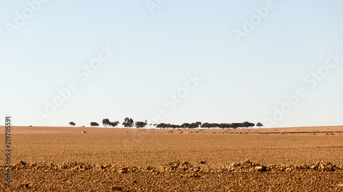 Isolated landscapes in the Sahara desert, Morocco