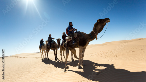 Friends riding on camels through Sahara desert in Morocco