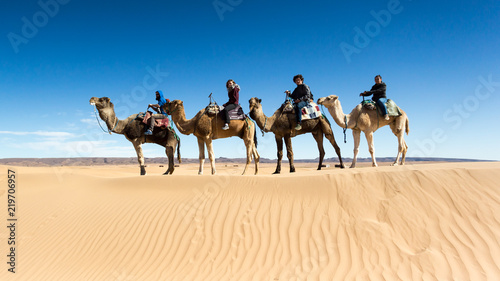 Friends riding on camels through Sahara desert in Morocco