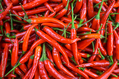 Hot Red chilli pattern