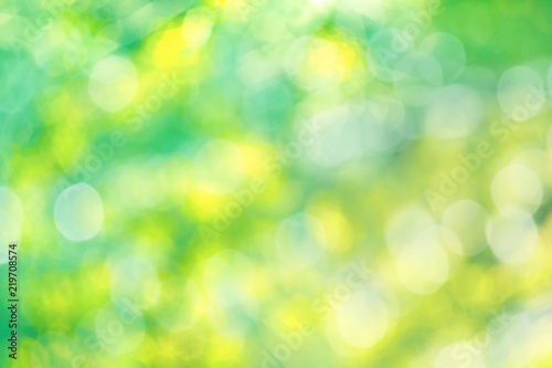 Abstract background of blur selective focus of morning garden of foliage tree with bokeh