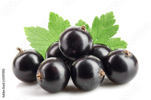 black currant with leaf isolated on white background