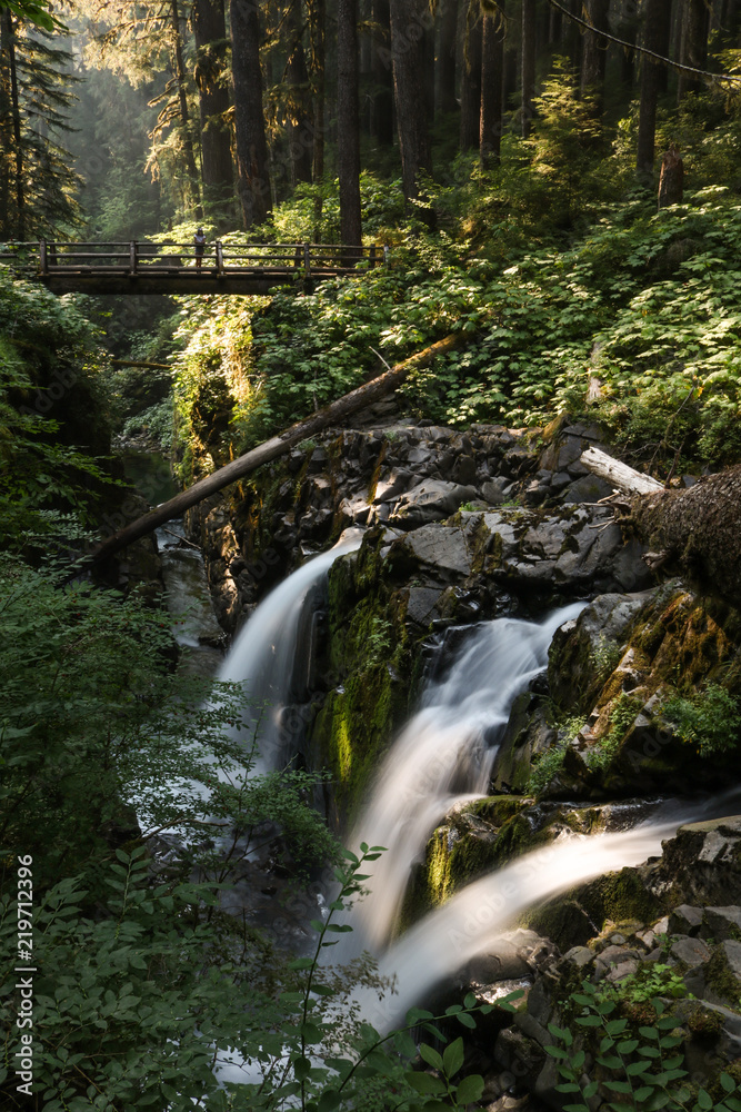 Sol Duc Falls bridge, Olympic National Park, Washington Sol Duc Falls bridge, Olympic National Park, Washington