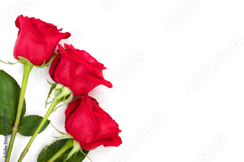 beautiful red rose with leaves isolated on white background with copy space for your text. Top view. Flat lay pattern