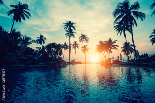 Amazing sunset on palm coast sea in subtropics.