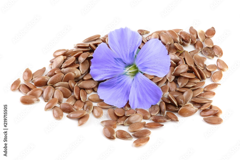 flax seeds with flower isolated on white background - obrazy, fototapety, plakaty 