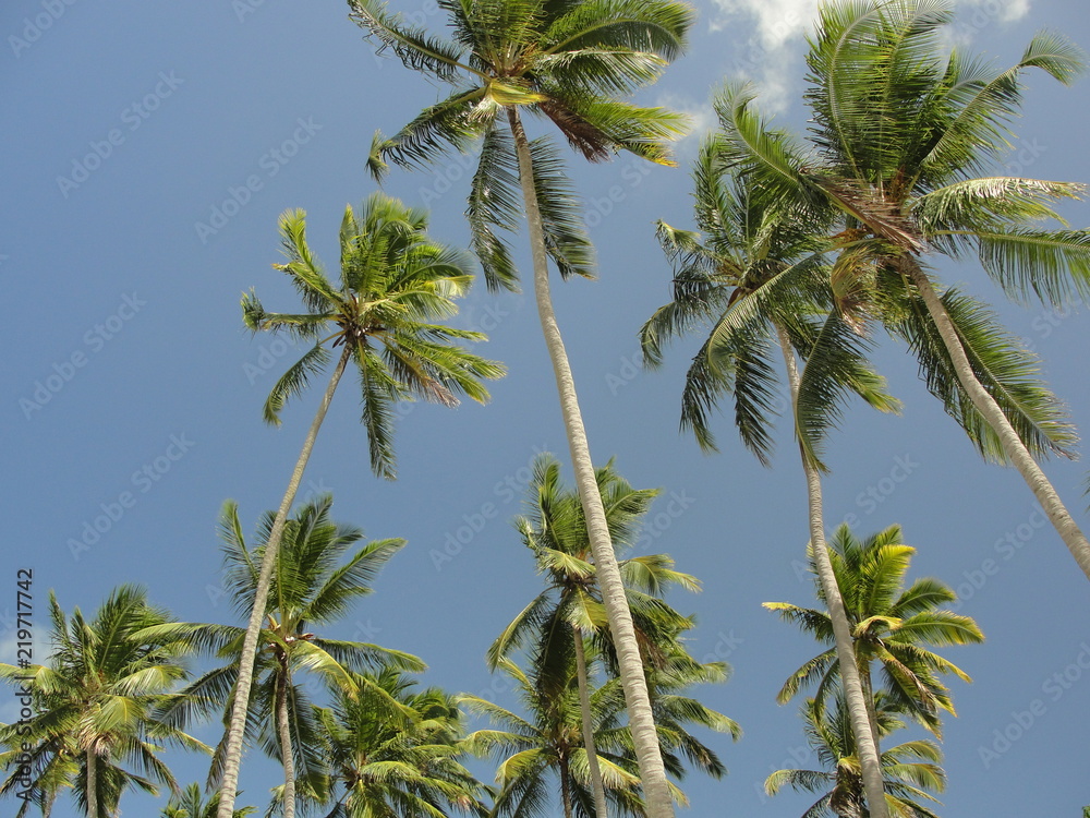 Fototapeta premium Céu de Litoral