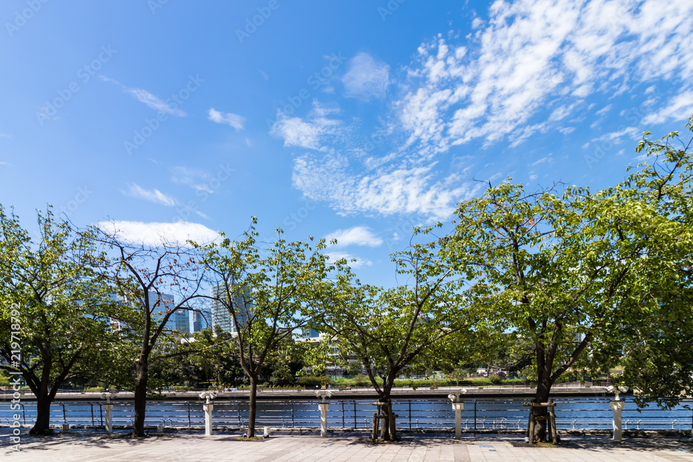 (東京都ｰ都市風景)天王洲川沿いの風景１