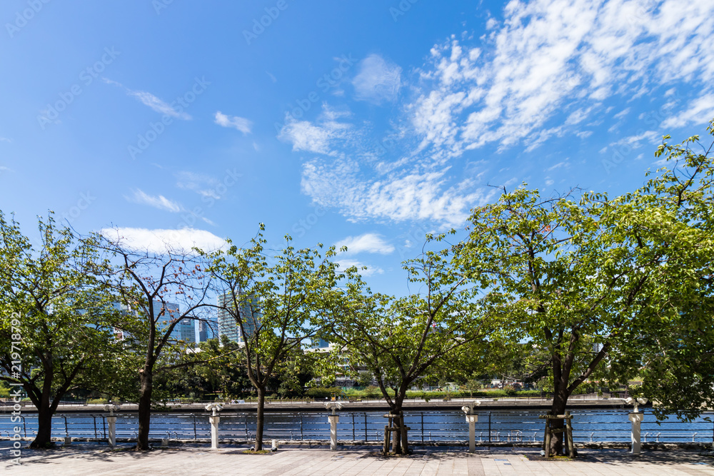 (東京都ー都市風景)天王洲川沿いの風景1 (東京都ー都市風景)天王洲川沿いの風景1