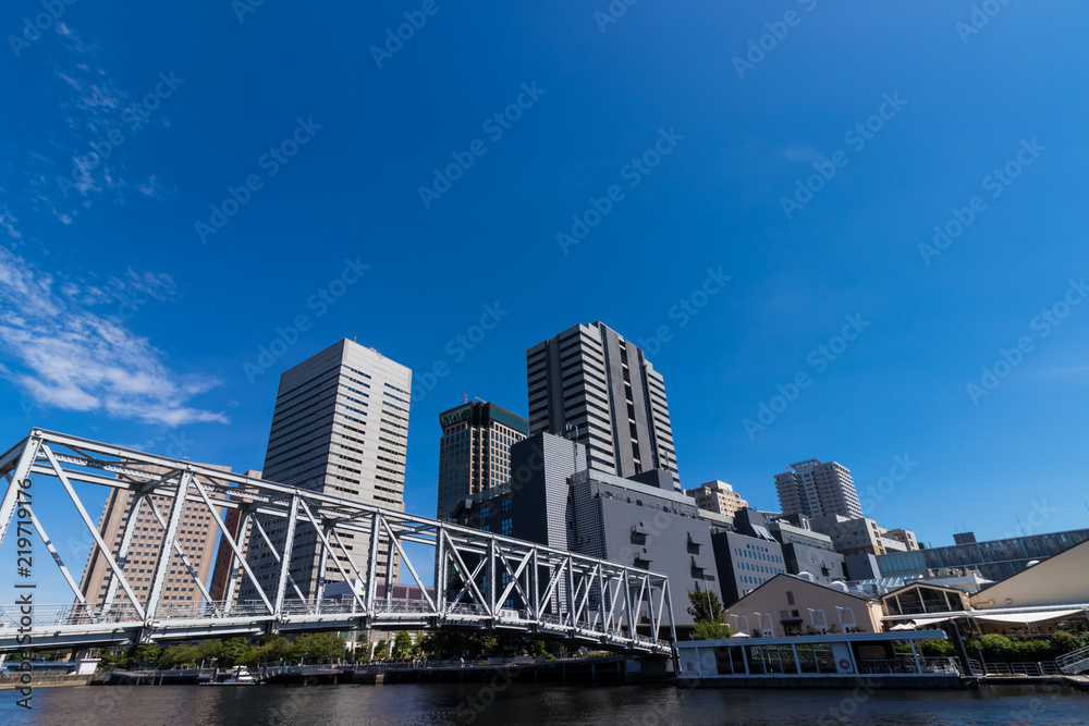 Fototapeta premium (Sceneria miejska Tokio) Budynki nadbrzeżne Tennozu 2