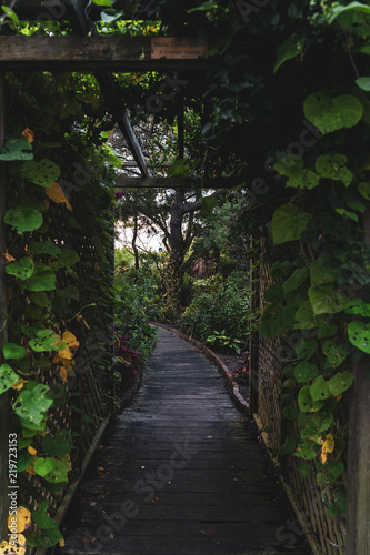 Garden Pathway through Pergola with vines and flowers around