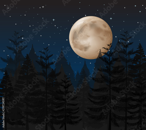 A forest dark night