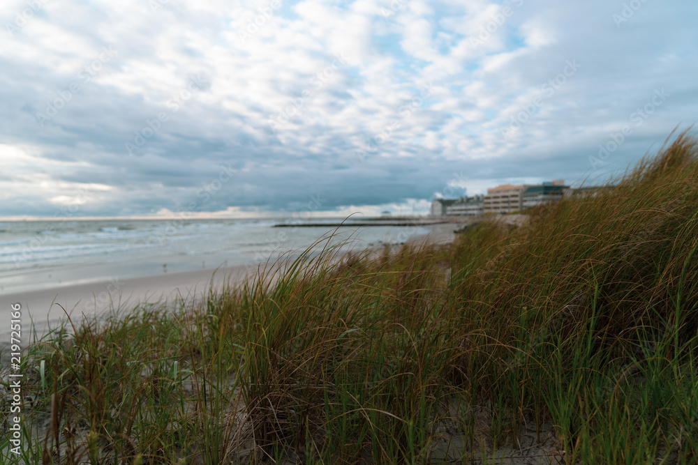 Landscape of Beach with Ocean and Hotels in background with Dune Grass in Foreground Landscape of Beach with Ocean and Hotels in background with Dune Grass in Foreground