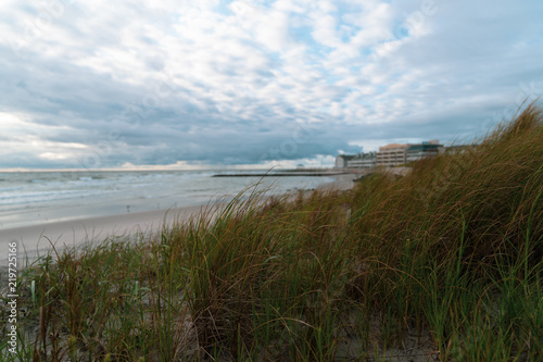 Landscape of Beach with Ocean and Hotels in background with Dune Grass in Foreground