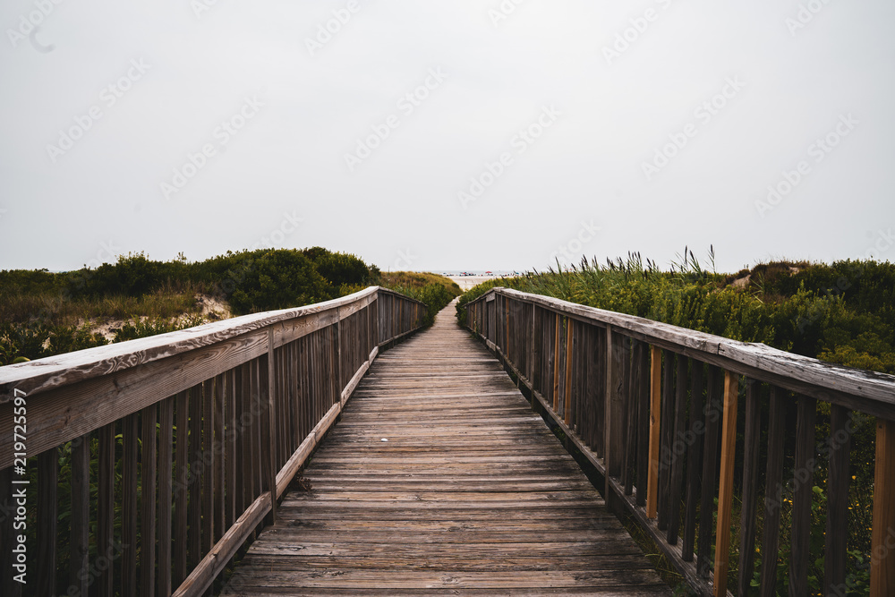 Wooden Beach Walkway with Plants Surrounding at Wildwood New Jersey Vacation Destination.