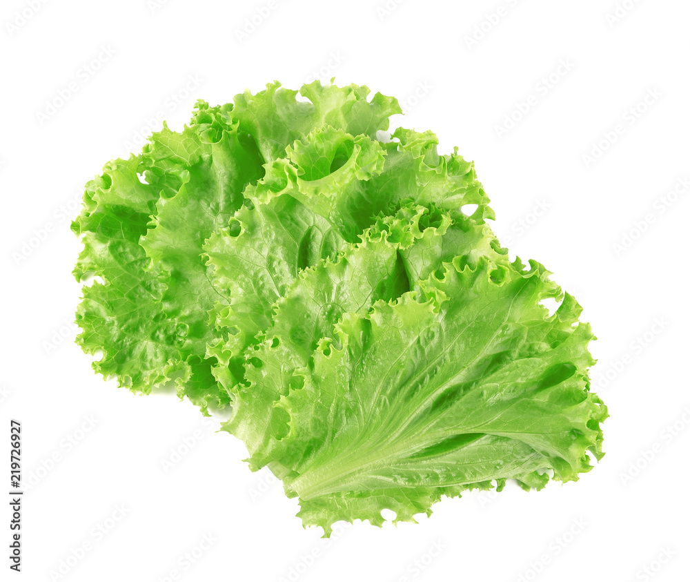 Salad leaf. Lettuce isolated on white background Salad leaf. Lettuce isolated on white background