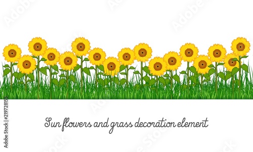Fototapeta Naklejka Na Ścianę i Meble -  Sunflowers and grass decoration element, isolated on transparent background, cartoon vector illustration.