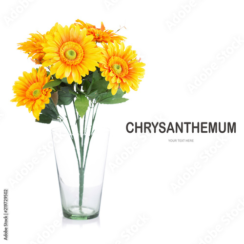 Fototapeta Naklejka Na Ścianę i Meble -  Creative layout made of Chrysanthemum flower