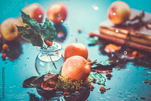 Autumn apples under rain still life. Fall harvest header with water drops and copy space. Red small ranet apples and fallen leaves. Cross process effect photo
