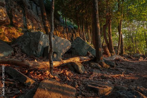 Lighthouse Point Hiking Trail
