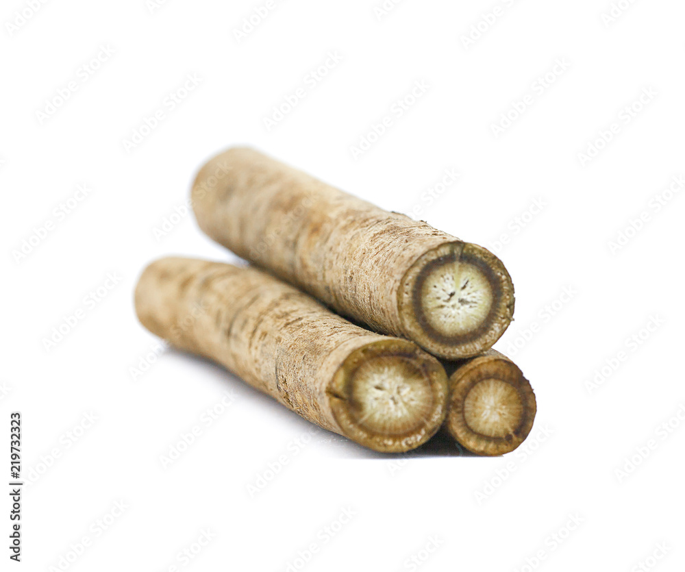 Burdock roots isolated on the white background.