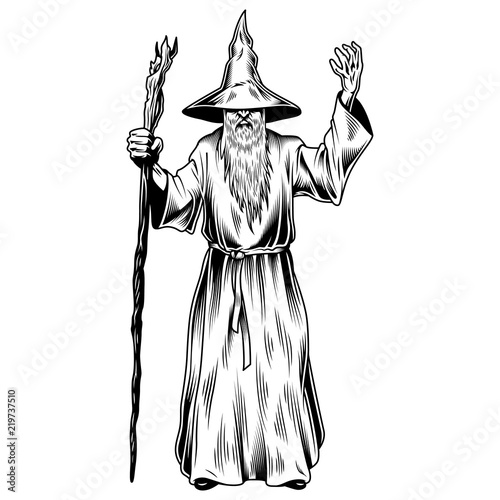 Fantasy wizard isolated on white