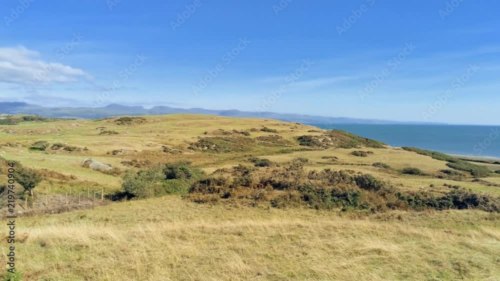 Zoom in and out move. Panorama of dry grass fields, sheep and sea in Wales Zoom in and out move. Panorama of dry grass fields, sheep and sea in Wales