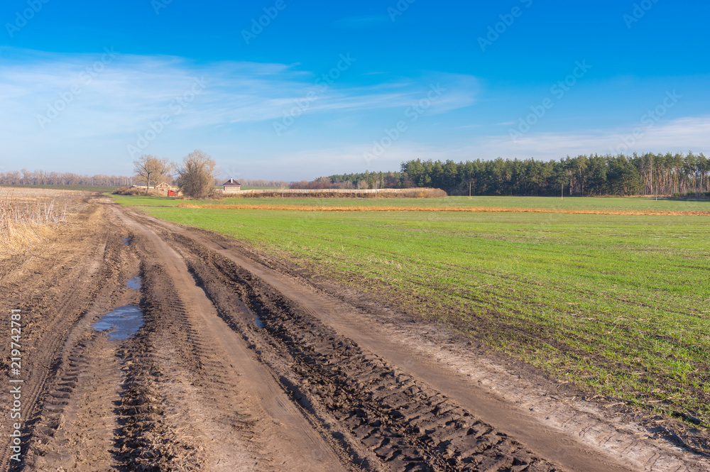 Naklejka premium Landscape with agricultural fields and dirty road leading to remote farm-stead in central Ukraine at late autumnal season