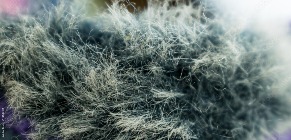 Obraz premium Artificial fur.
