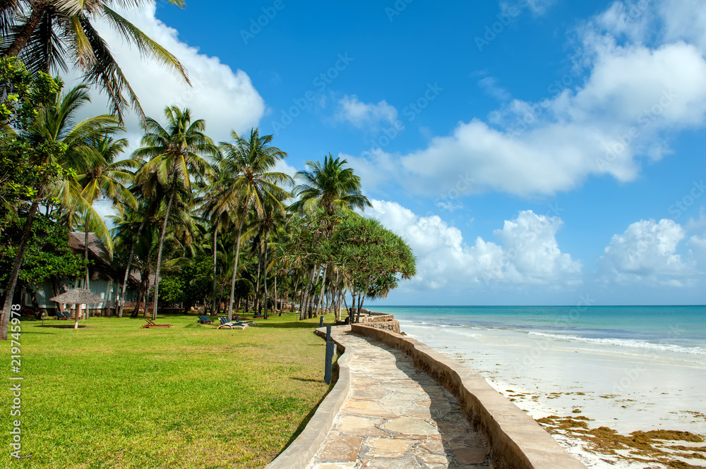 Fototapeta premium Palm trees at the beach