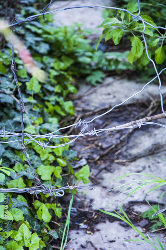 Barbed wire © Heroc