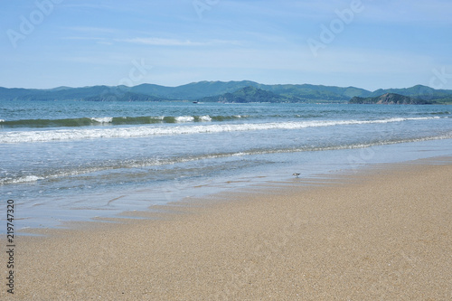 Coast of the sea with beautiful sand on a sunny day. © stocknik