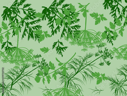 green dill and parsley background illustration