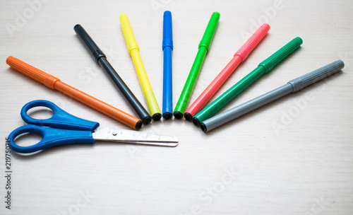 Set of multi-colored felt-tip pens on a light background.