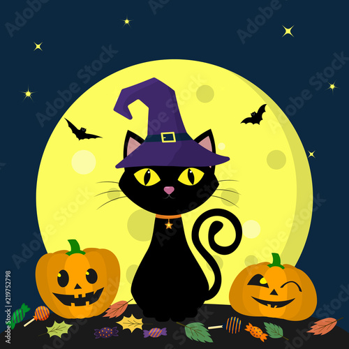 A Halloween cat in a witch hat sits against a full moon at night. Next to the broom are two pumpkins  candy and leaves  volatile vampires and stars. Autumn vacation.
