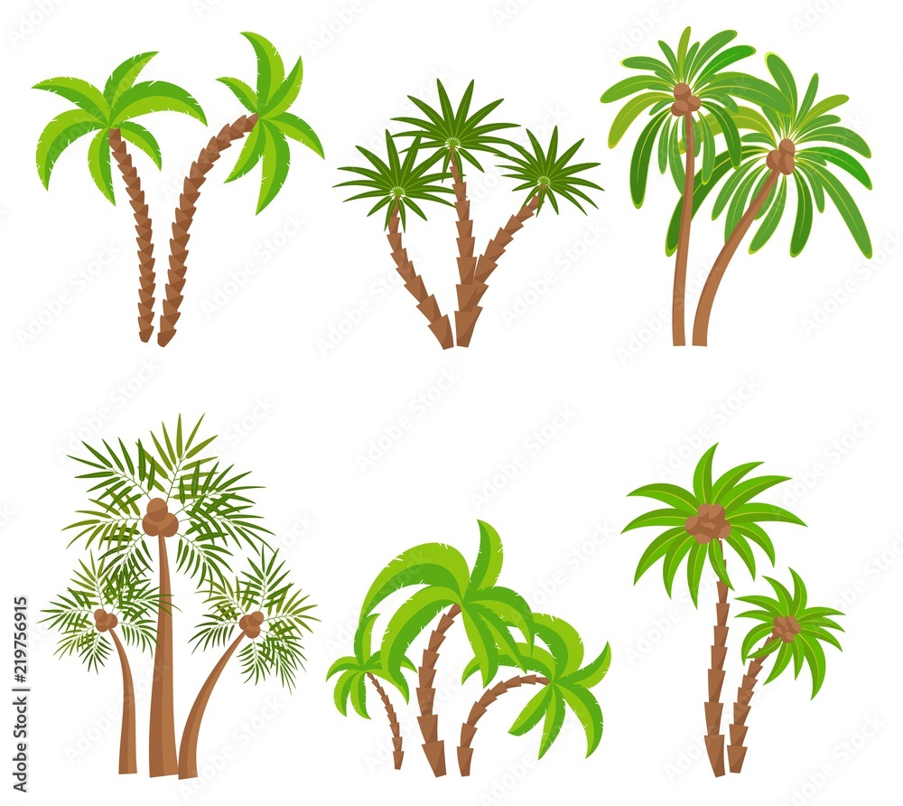 Different palm trees set isolated on white background. Tropical plants vector illustration. Rainforest jungle plants. Summer beach resort decoration
